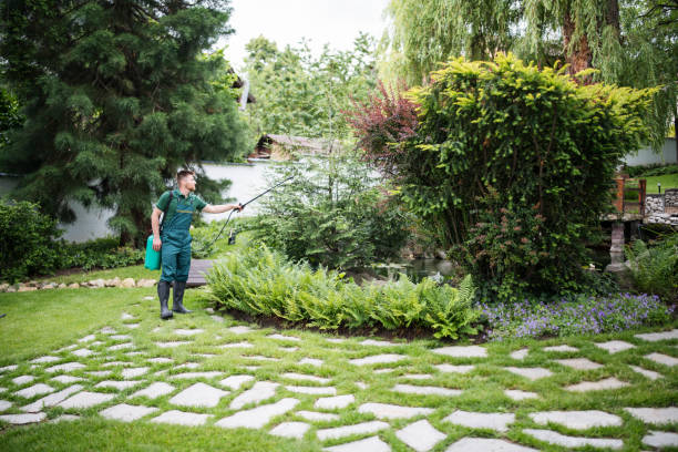 Best Commercial Pest Control Services  in Mission Bend, TX