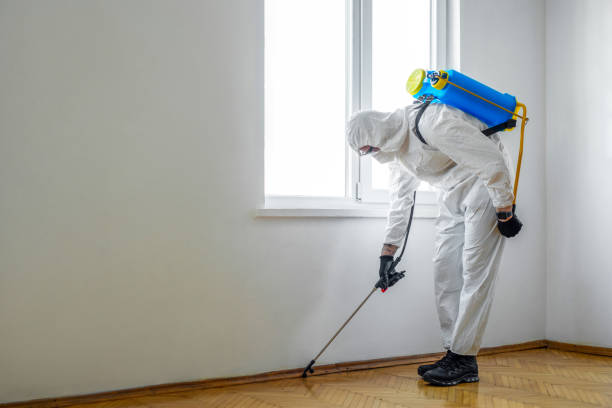Best Rodent Control Near Me  in Mission Bend, TX