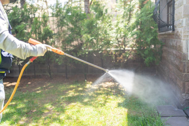 Best Best Pest Control Companies  in Mission Bend, TX