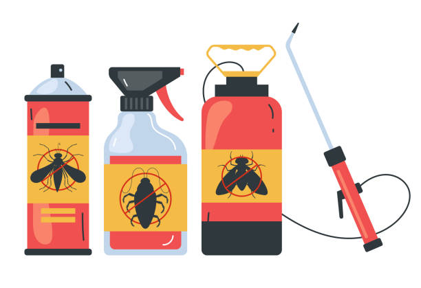 Best Local Pest Control Services  in Mission Bend, TX