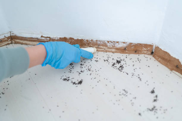 Mission Bend, TX Pest Control Company